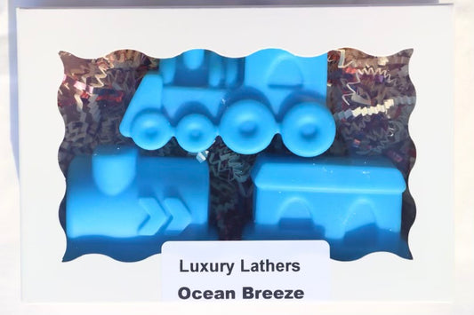 Ocean Breeze Train set